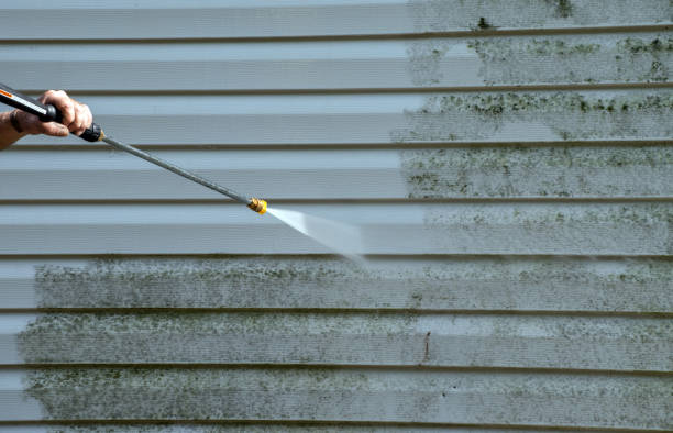 Best Concrete Surface Cleaning in South Corning, NY